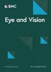 EYE AND VISION
