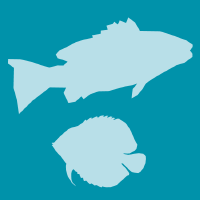 FISHES