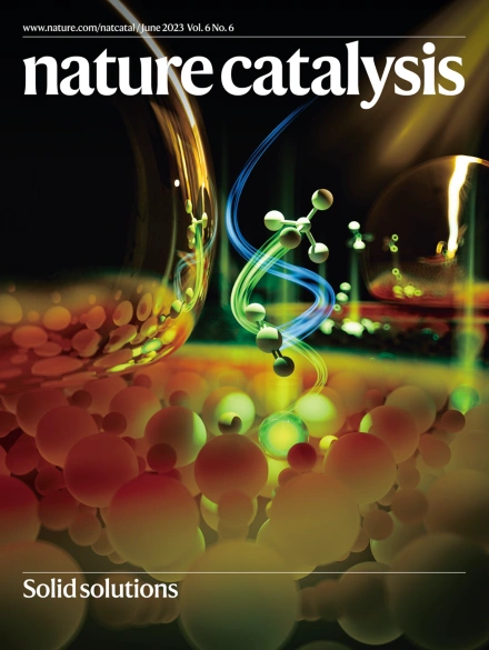 NATURE CATALYSIS