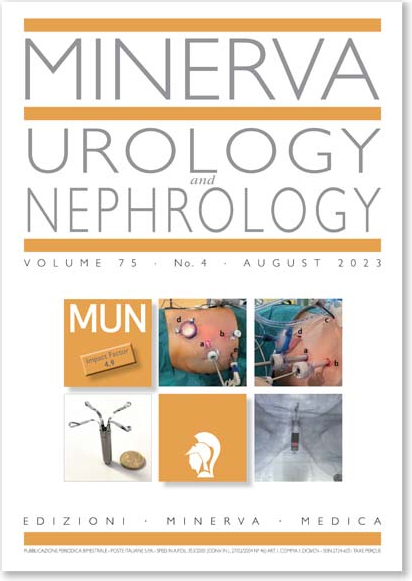 MINERVA UROLOGY AND NEPHROLOGY