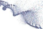 BMC GENOMIC DATA